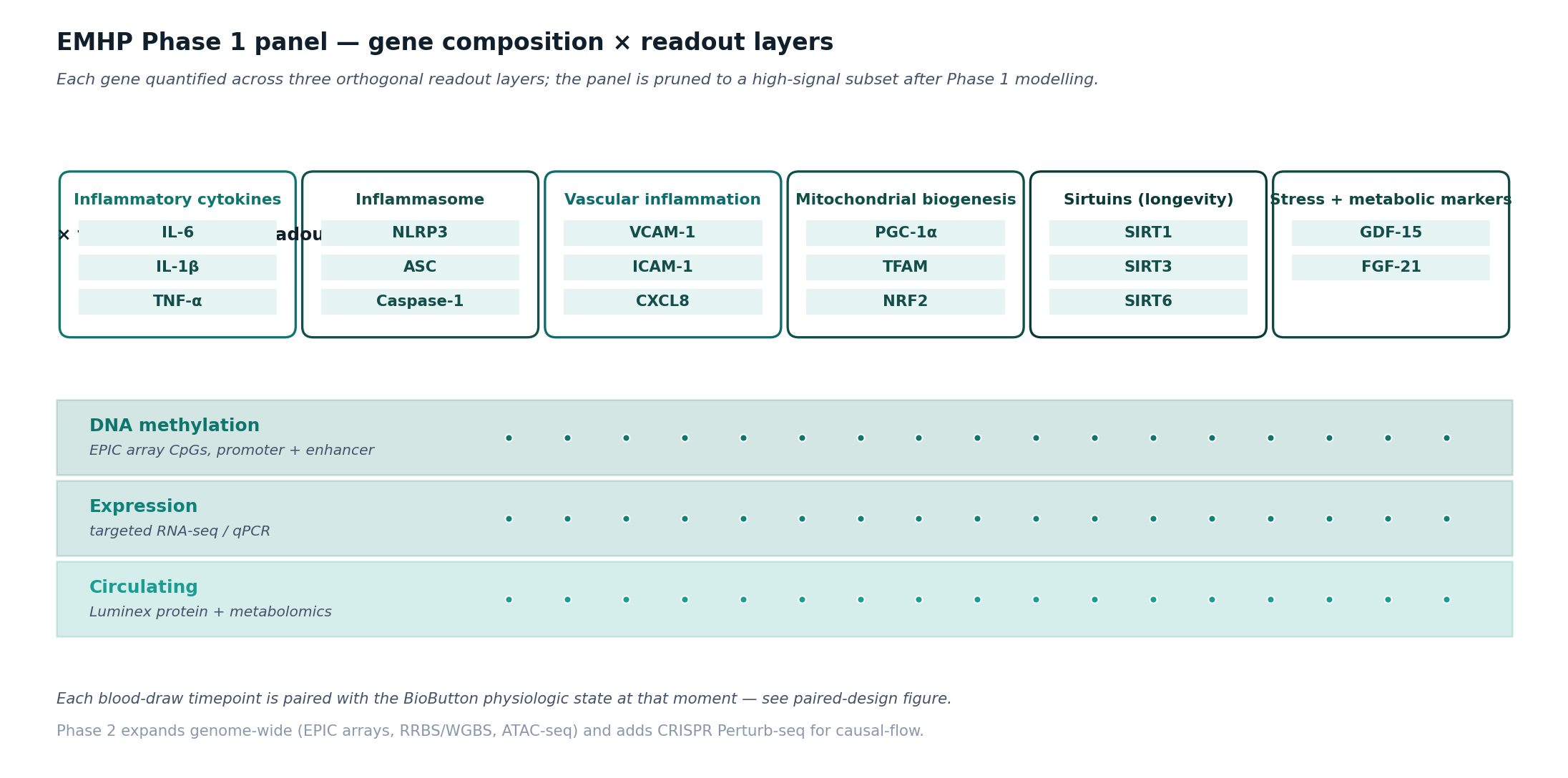 EMHP gene panel grouped into six categories (cytokines, inflammasome, vascular inflammation, mitochondrial biogenesis, sirtuins, stress markers) with three readout layers below.